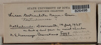 Image Associated With the Occurence